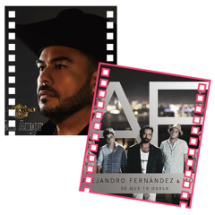 ALEAJANDRO FERNANDEZ/CHEHCO ALVAREZ