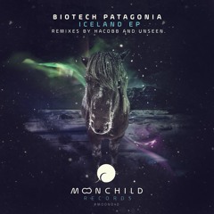 Biotech Patagonia - Iceland (Unseen Remix) [Moonchild Recods]