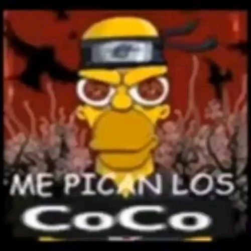 ME PICAN LOS COCOS AAAAYY
