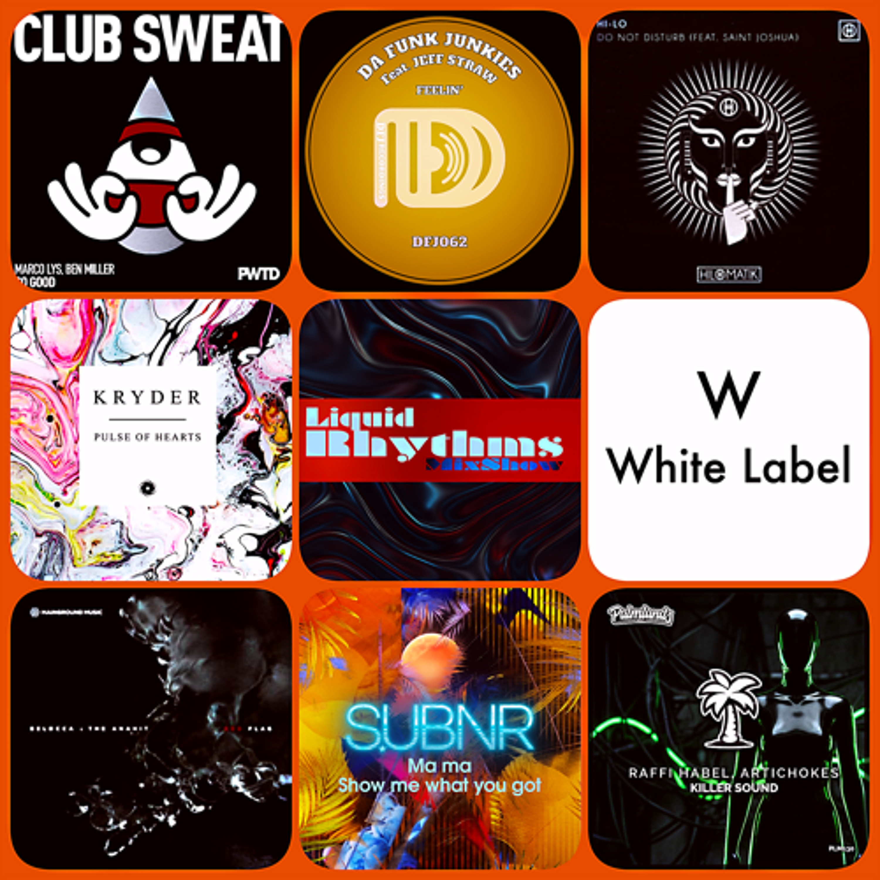 03 Liquid Rhythms Mixshow ep2401 Tech House Mix_2 episode artwork