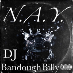 N.A.Y.