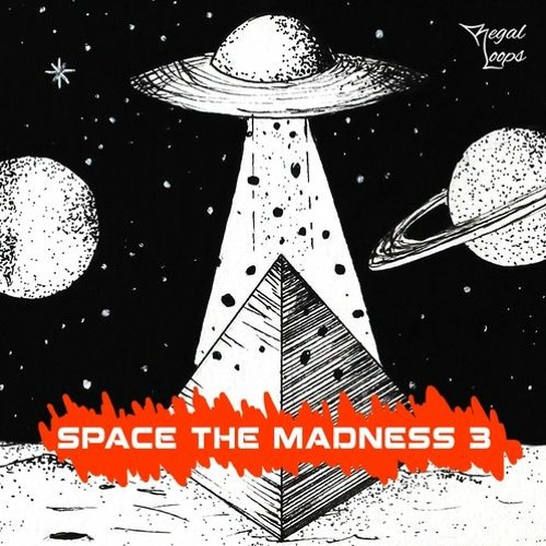 Regal Loops Space The Madness 3 WAV-FLARE