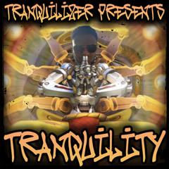 TRANQUILIZER - TRANQUILITY 2025 PROMO MIX