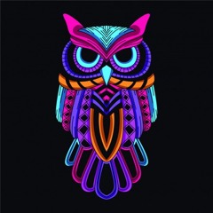 slowwwiebaby - OWLS (prod. lil biscuit)