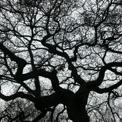 To Bear Witness [BBC Radio 3, 2020-12-19]