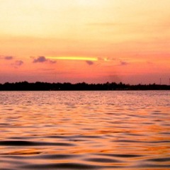 Progressive Session 1