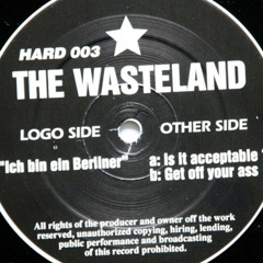 The Wasteland ‎– Is It Acceptable ?