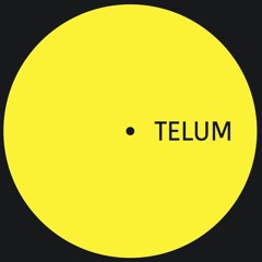 TELUM009 - Unknown Artist - Untitled B1