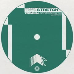 Terminal Interference