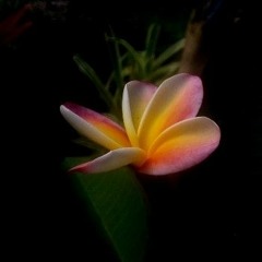 DJ KEKS X ADELE - EASY ON ME (ZOUK REMIX) 2K21(MP3_70K).mp3