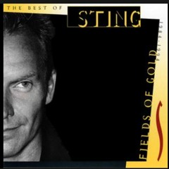 Sting - Fields of Gold (Everett Ave Edit)