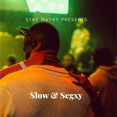 Slow & Segxy