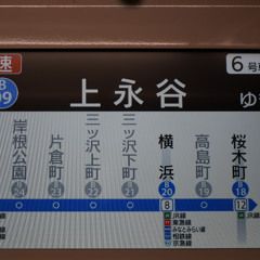 快速 上永谷 [Adularia × BlueLine]