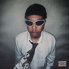 VISA FREESTYLE (p. jordon lumley)