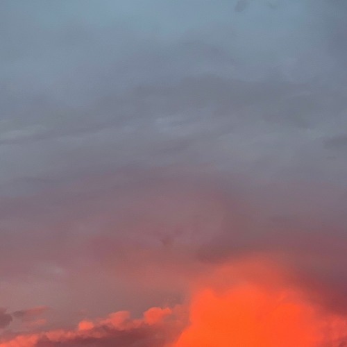 reminiscent