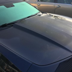 TJANGOO - Dew Covered Hood