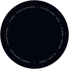 Various Artists - WINDER006