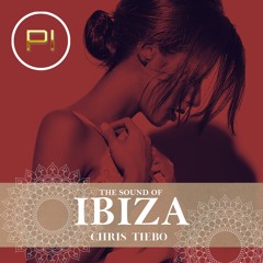 𝐓𝐡𝐞 𝐒𝐨𝐮𝐧𝐝 𝐎𝐟 𝐈𝐛𝐢𝐳𝐚 by Chris Tiebo