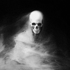 DUST EM’ SNIPPET (SILHOUETTE 2024)