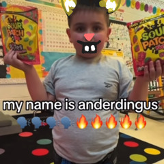 my name is ander dingus