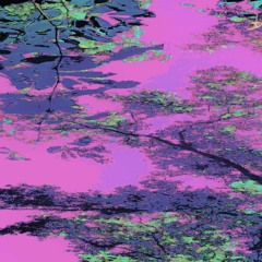 $ofaygo - wya (slowed & reverb)