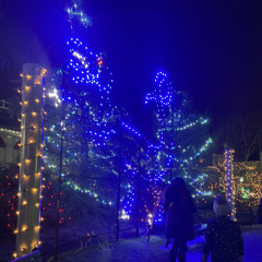 soulful (prod.shxrkz){bernobolted}