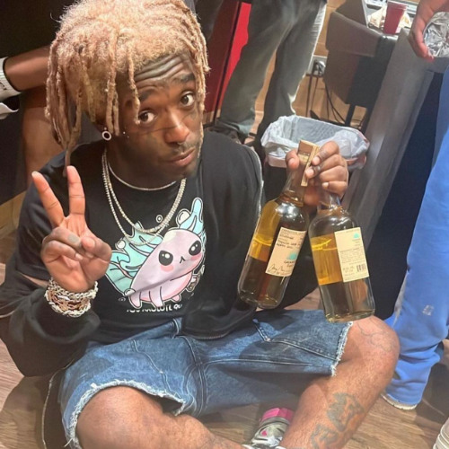 Lil Uzi Vert - I Got The Vision [Official Audio]