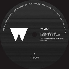 Premiere: A1 - Vlad Arapasu - Hidden In The Chaos [ITW005]