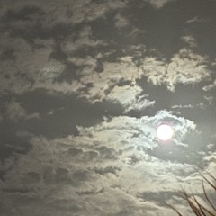 supersonic/highschool pub (unreleased) - beabadoobee