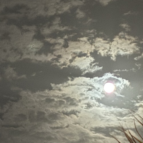 supersonic/highschool pub (unreleased) - beabadoobee