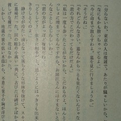 ​lilbesh ramko  Homesic/暮らし (Roman Remix)