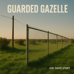 Guarded Gazzelle