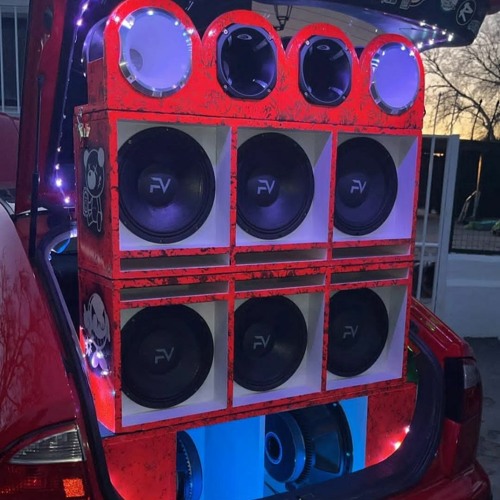 SET ESPECIAL WINTER FESTIVAL 2023  PARA EL LEON FV -  DALA