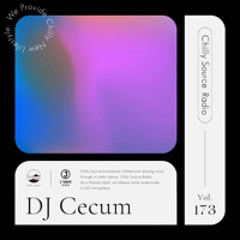 Chilly Source Radio Vol.173 Cecum 【20min mix】#chill #pop