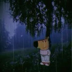 light drizzle