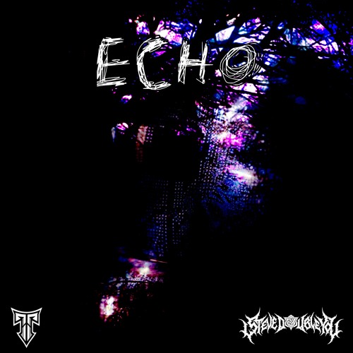 Stream echo (feat. stevedoubleyou) by tt | Listen online for free