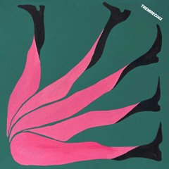 Franco Falsini - Navigators EP (TREMREC002)