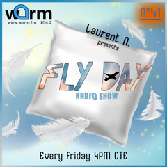 LAURENT N. FLY DAY RADIO SHOW N°41 @ WARM FM