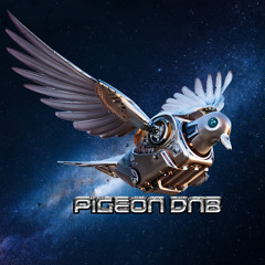 pigeon dnb