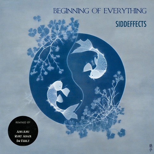 [PREMIERE] SiddEffects - Beginning of Everything (Kurt Adam Remix) [Autumn Equinox]