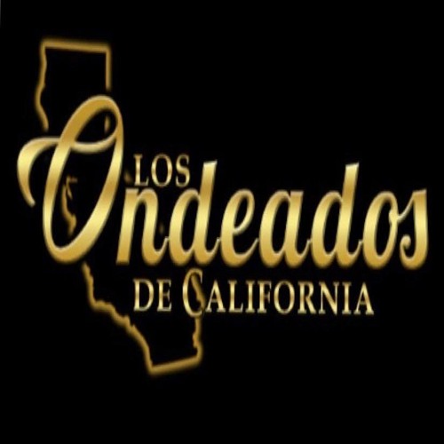 Stream El Amigo by Los Ondeados de California Listen online for free