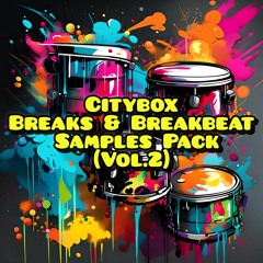 (Vol.2) Citybox Breaks & Breakbeat Samples Pack (Vol.2)