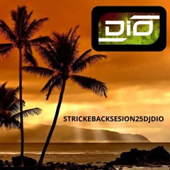 STRICKESBACKSESION25DJDIO