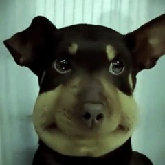 POOPY SHIT — feat. PG.AR