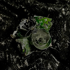 we’re exes but that soda can bouquet you made me is still so pretty