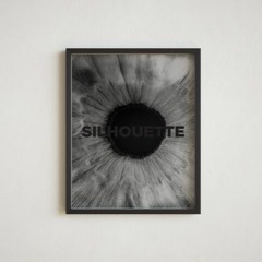 Silhouette (Thrice Cover) ft. Joe Bell, EOM