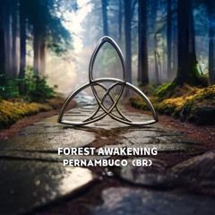 Pernambuco (BR) - Unleash Me (Original Mix)