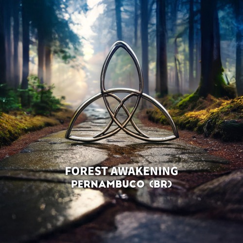 Pernambuco (BR) - Unleash Me (Original Mix)