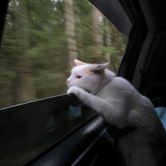 Đừng Hỏi Em Bây Giờ Ổn Không - Nhạc TikTok.m4r