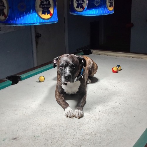 shit i dont take back